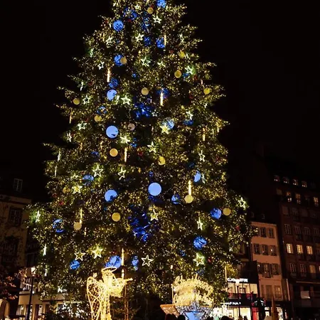 Appartement F2 Proche Marche De Noel Schiltigheim